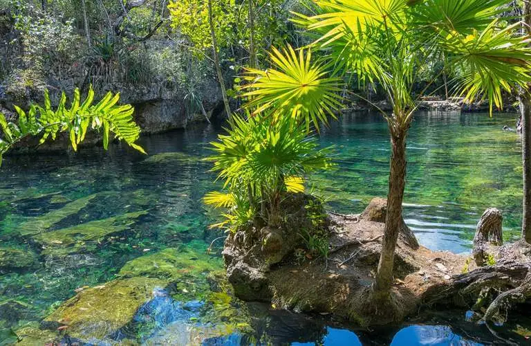 Cozumel Total Experience: Selva, Cenote & Snorkel con Almuerzo